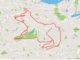 GPS-арт: искусство спорта и технологий